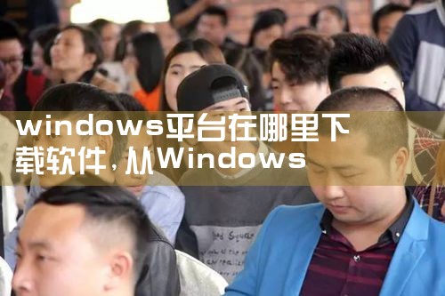 windows平台在哪里下载软件|MR好色
