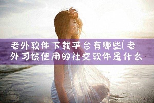 老外软件下载平台有哪些|MR好色