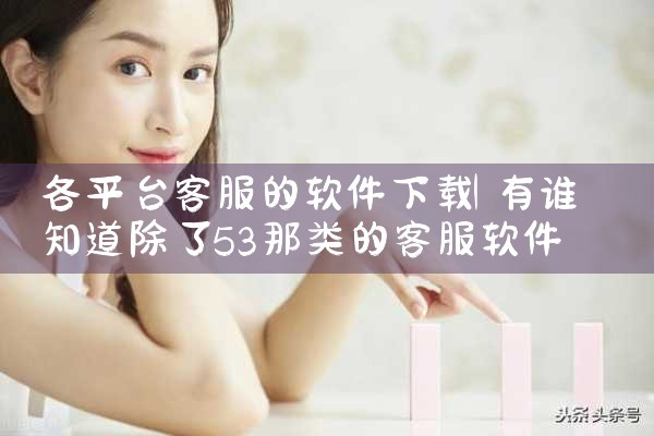 各平台客服的软件下载|MR好色