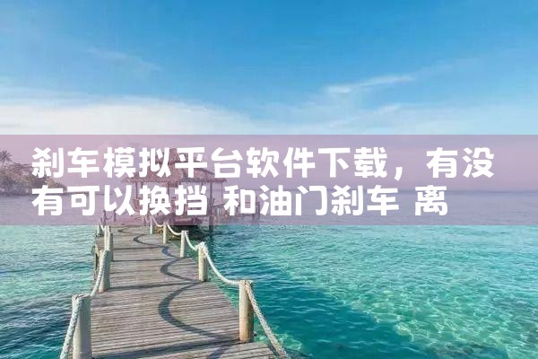 刹车模拟平台软件下载|P站专业版