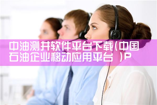 中油测井软件平台下载|P站专业版