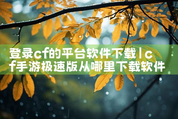 登录cf的平台软件下载|糖心Vlog