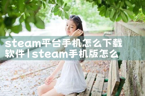 steam平台手机怎么下载软件|MR好色