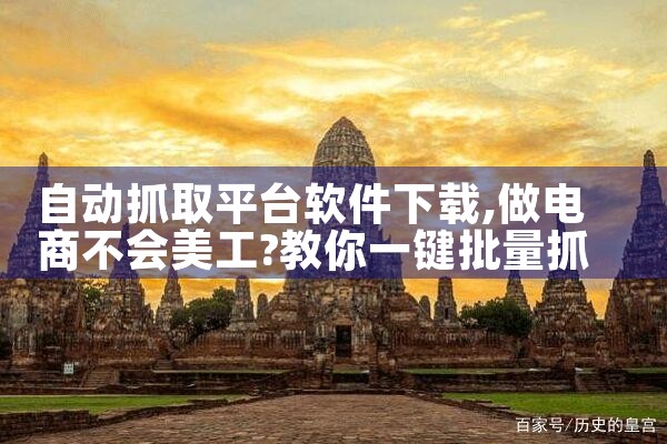 自动抓取平台软件下载|MR好色