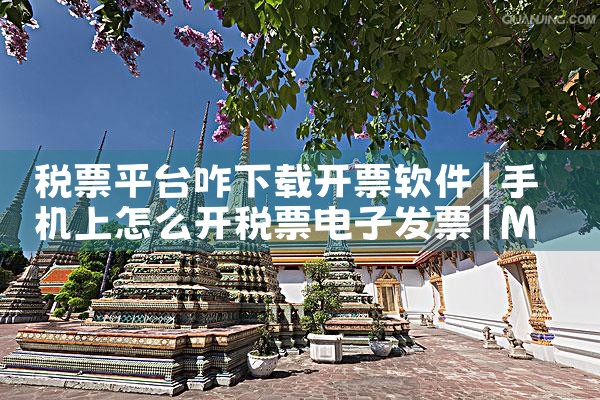税票平台咋下载开票软件|MR好色