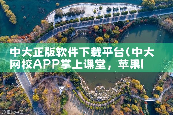 中大正版软件下载平台|糖心Vlog