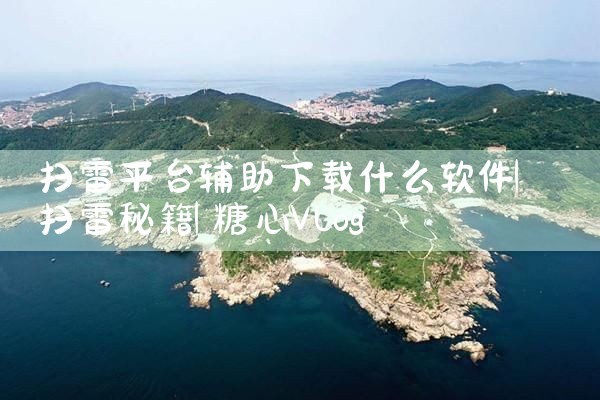 扫雷平台辅助下载什么软件|糖心Vlog