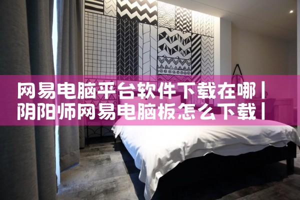 网易电脑平台软件下载在哪|P站专业版