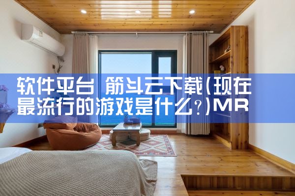软件平台 筋斗云下载|MR好色