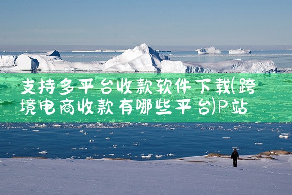 支持多平台收款软件下载|P站专业版