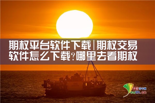 期权平台软件下载|哔咔漫画