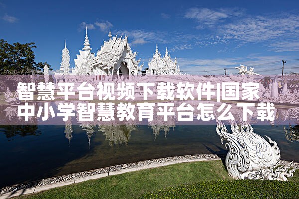 智慧平台视频下载软件|P站专业版