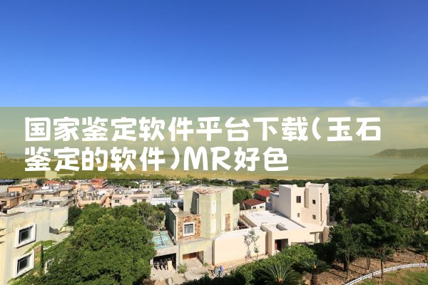 国家鉴定软件平台下载|MR好色