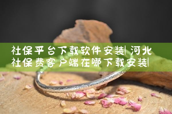 社保平台下载软件安装|小蓝视频