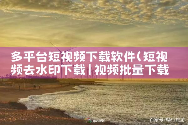 多平台短视频下载软件|P站专业版