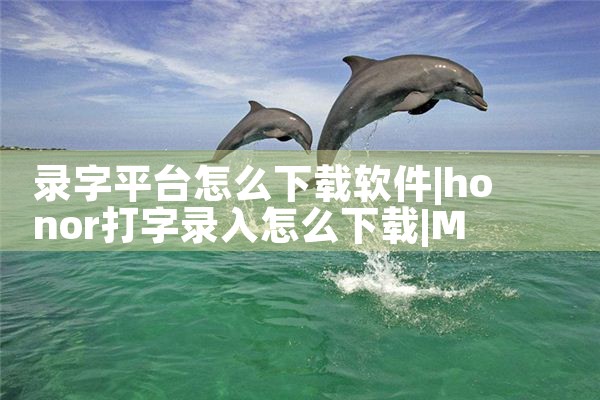 录字平台怎么下载软件|MR好色