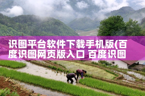 识图平台软件下载手机版|MR好色